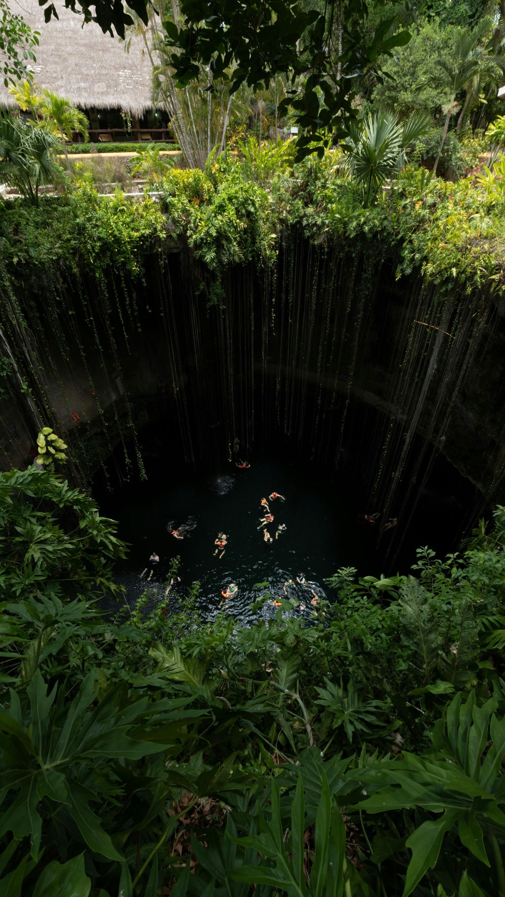 Top 5 Must Visit Cenotes in Yucatán&nbsp;Peninsula