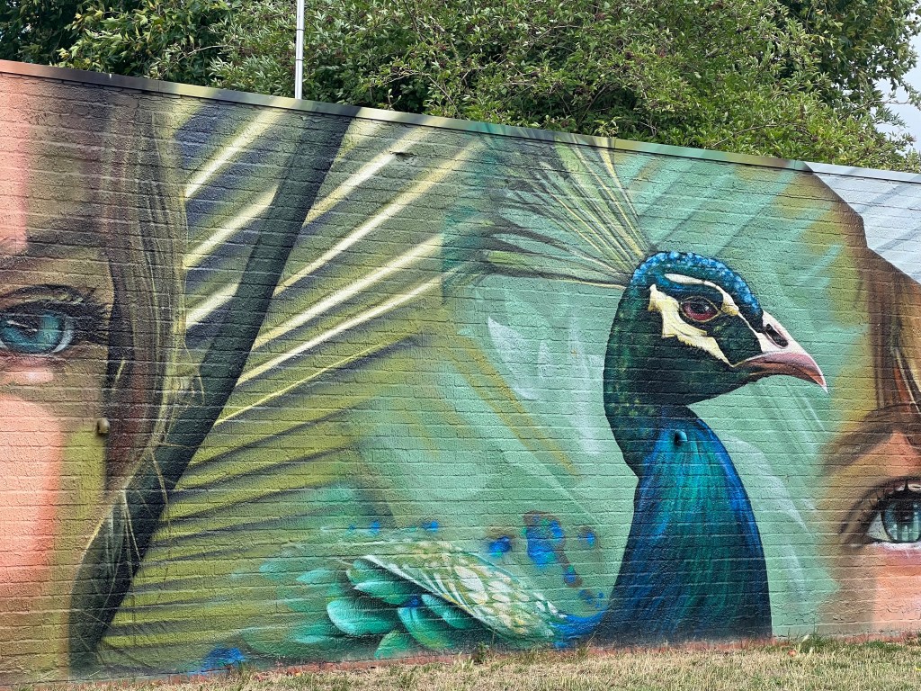 Bristol’s Wild Side: A Street Art Journey in&nbsp;Bedminster